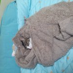 고양이 이름은 ... <b>야옹</b>이... 고양이...