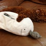 [<b>토이</b>푸들] 꾸꾸는 인형인가봉가~
