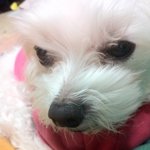 [ 부산/용호동 ]찾았어요!!