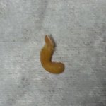 <b>믹스</b>커피의 여유..그리고 벌레??