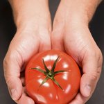 아들의 마지막 효도...