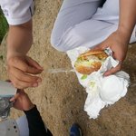 맥도날드  <b>비닐</b>햄버거