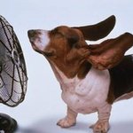 여름하면 떠오르는 색다른 공포영화들.. 이런게 젤무섭