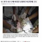 개념<b>상실</b> 최강!! 신생아 변기에 넣고 물내림.