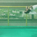 이대<b>덤블</b>링녀와 돈만 밝히는 남자친구 영상 보셨나요?