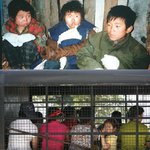 충격)고아 9명 추방 !!