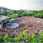 <b>조선대</b> 볼거리 소개 - <b>조선대</b> 장미 축제 다녀왔어요!
