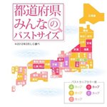 일본여자들 가슴 크기가 진짜 이런가요?