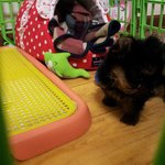 (아지판)개판오분<b>전판</b> 진짜개판등장이오