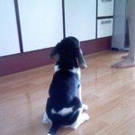 팔아볼게요.. <b>사면</b> 넌 죽음