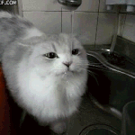 이 아이 <b>종이</b> 뭐에용~?
