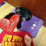 악마견<b>no</b>!!! 폭풍애교 "또" 3탄