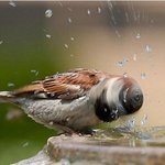 찍기 정말 힘들다는 <b>찰나</b>의 순간