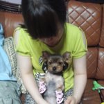 (아지판)개판오분<b>전판</b> 진짜개판등장이오