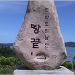 올 여름에 다들 뭐하세요?
