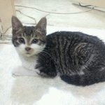 루비는 루비루비해