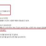 ㅅ울드레서-한 여초 카페의 도 넘은 일베 신상털기