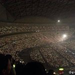 <b>이틈</b>을 타 우글우글 섬퀴들