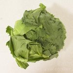 다이어트에 자주 <b>섭취</b>하는 양배추와 양상추이야기