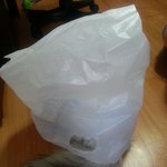 귀요미 페르시안 형제 21