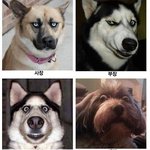 <b>시도때</b>도 오는 시누의 연락