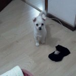 별<b>찌</b>=별똥별
