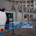 [LIFE]영국-런던 아쿠아리움 <b>SEA</b> LIFE