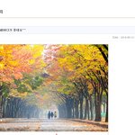 소셜판매자가 댓글 조작하고 개인정보 미끼로 협박 및 욕설하네요.