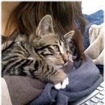 냥이) 우리 <b>이오</b>입니다...