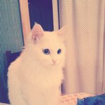 오드리가 왜 오드리인가..:)