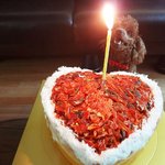 (수정) 내 이름은 메이, 개죠.2 (생일편)