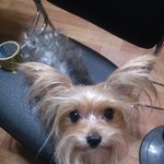 너에게의 <b>작별</b>...