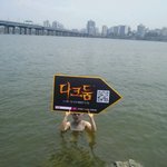 다크둠. <b>인사동</b> 공포체험관 오픈 홍보 사진ㅋㅋ
