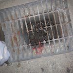 지금 많이 무섭다 (장기<b>적출</b> 의심 흔적)