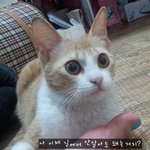 마리도 엄마가 필요해요 !!