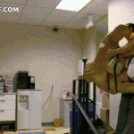 왕손바닥.<b>gif</b>