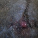 도와주세요 . . 제발 도와주세요 이아이를 외면하지말아주세요