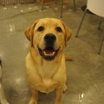 우리 아기들 <b>망치</b>와 뺀찌