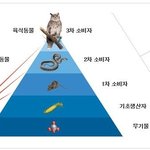 진격의 거인 vs 인간 종결자 ㅋㅋㅋㅋㅋㅋ