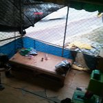 [生有!!] 저희 방방이 마지막이에요..ㅠㅠ