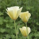 너에게 <b>말</b>하고싶어..(사랑한다는 흔한<b>말x</b>)