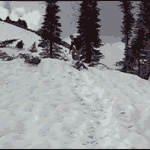 이게 바로 숯<b>컷들</b>의 본능이셈