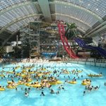 세계에서 가장 큰 것들.<b>top</b>