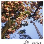 <b>문득</b> 보고싶다...