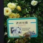 정말 싫은사람에게 주는 꽃....이름이 참..