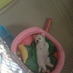 날바라보던 새끼고양아 미안해...