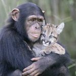 <b>따듯</b>한 동물들의 훈훈한 우정