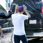 <b>울프</b>