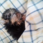 너는 내 꽃이다