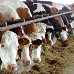 꼭!! 운동을 해야 탱탱간지가 되는이유 - 쉽게 설명해줄께..